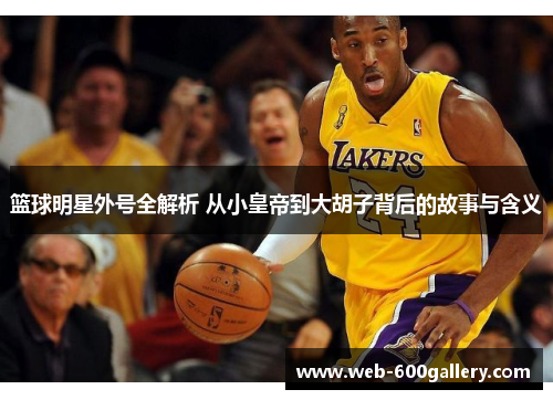 篮球明星外号全解析 从小皇帝到大胡子背后的故事与含义