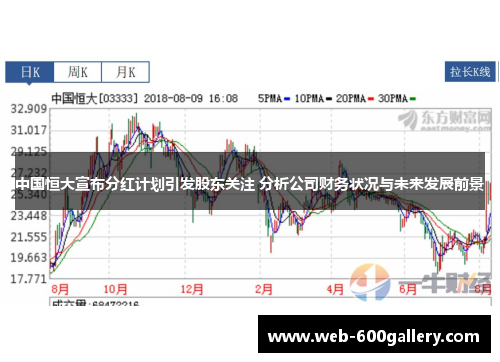 中国恒大宣布分红计划引发股东关注 分析公司财务状况与未来发展前景