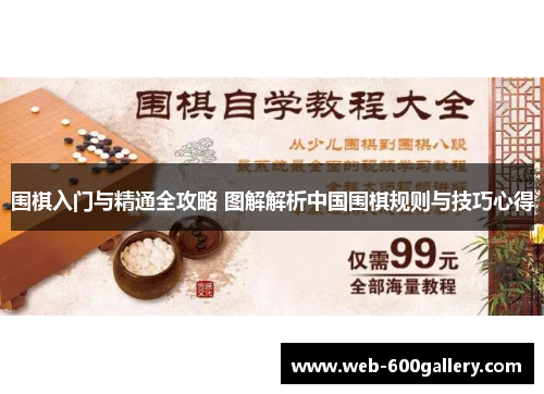 围棋入门与精通全攻略 图解解析中国围棋规则与技巧心得